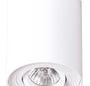 LAMPA PLAFON BASIC BIAŁY OD MAXLIGHT C0067