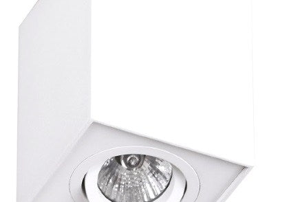 LAMPA PLAFON BASIC BIAŁY OD MAXLIGHT C0070