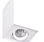 LAMPA PLAFON BASIC BIAŁY OD MAXLIGHT C0070
