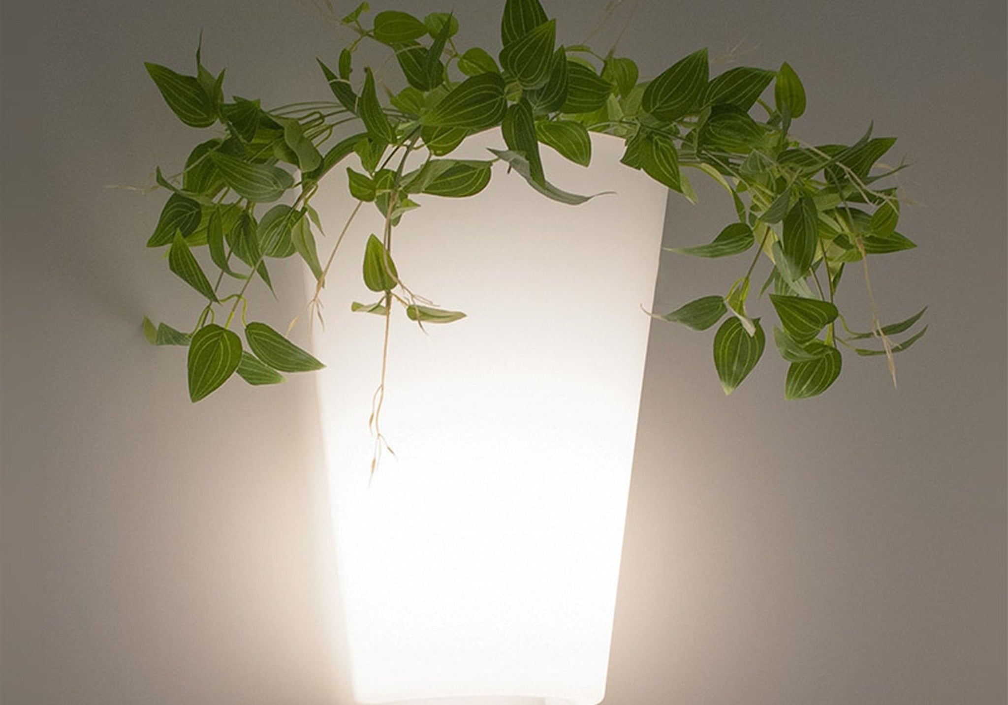 LAMPA ŚCIENNA TEJA OD MANTRA 6508