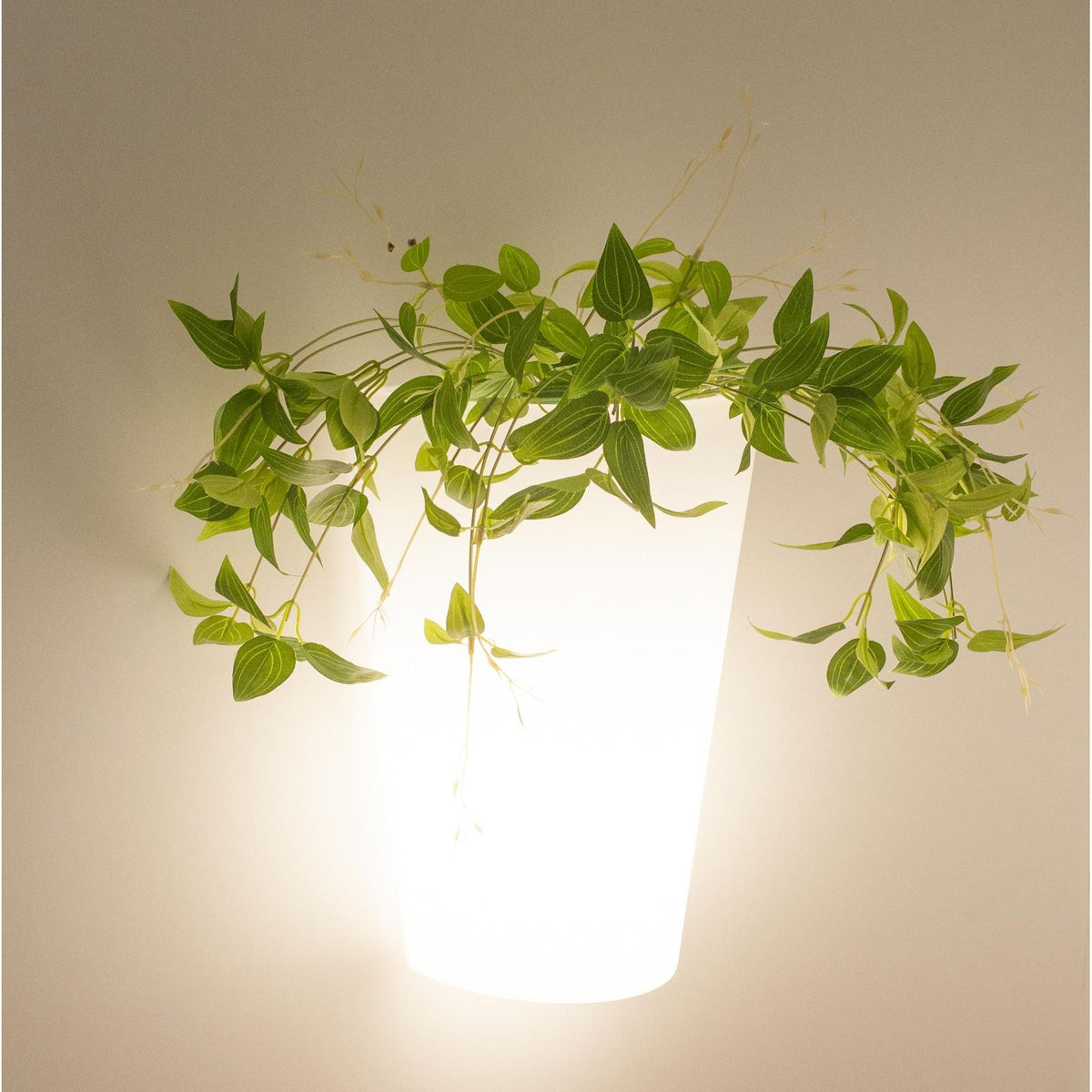LAMPA ŚCIENNA TEJA OD MANTRA 6508