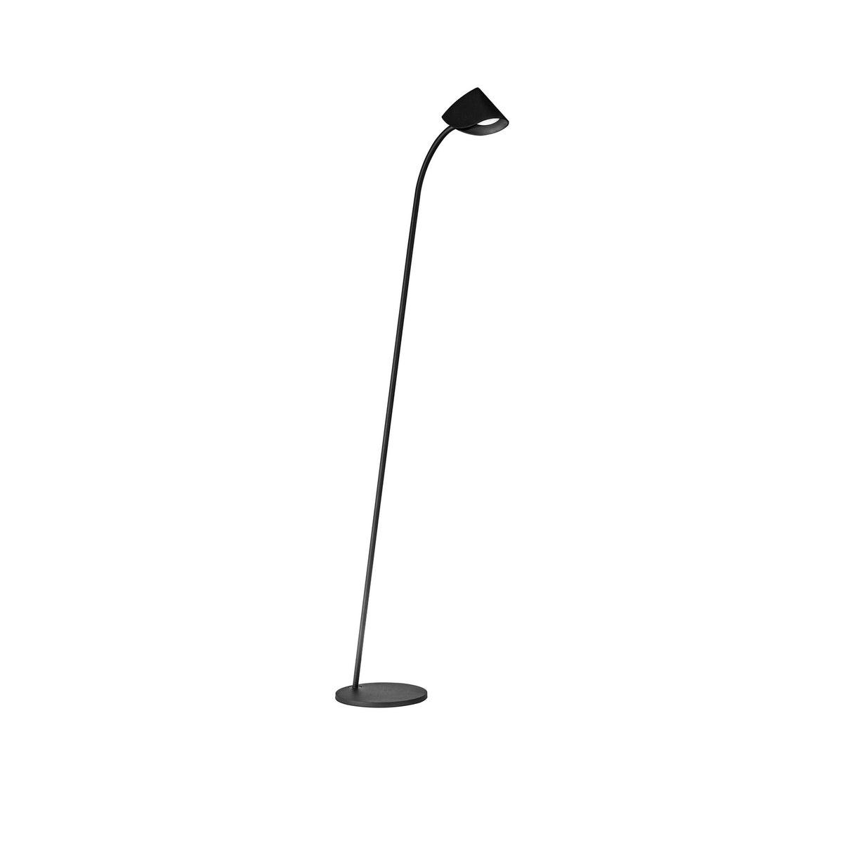 LAMPA STOŁOWA CAPUCCINA OD MANTRA 7585