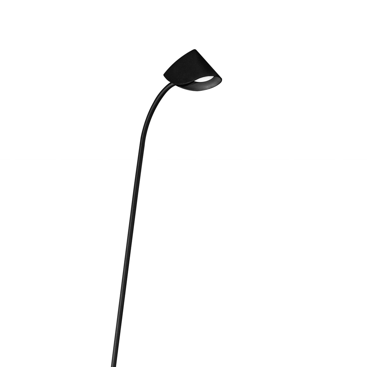 LAMPA STOŁOWA CAPUCCINA OD MANTRA 7585