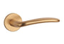 KLAMKA  Ambrosia ROZETA R SLIM 7MM KG OD APRILE