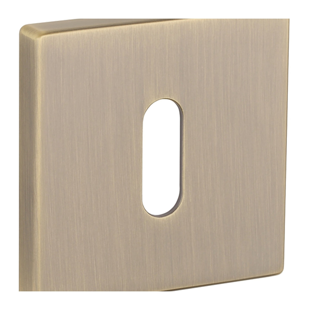 ROZETA   Q SLIM 7MM ABM OD APRILE