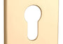 ROZETA   Q SLIM 7MM GOLD PVD OD APRILE