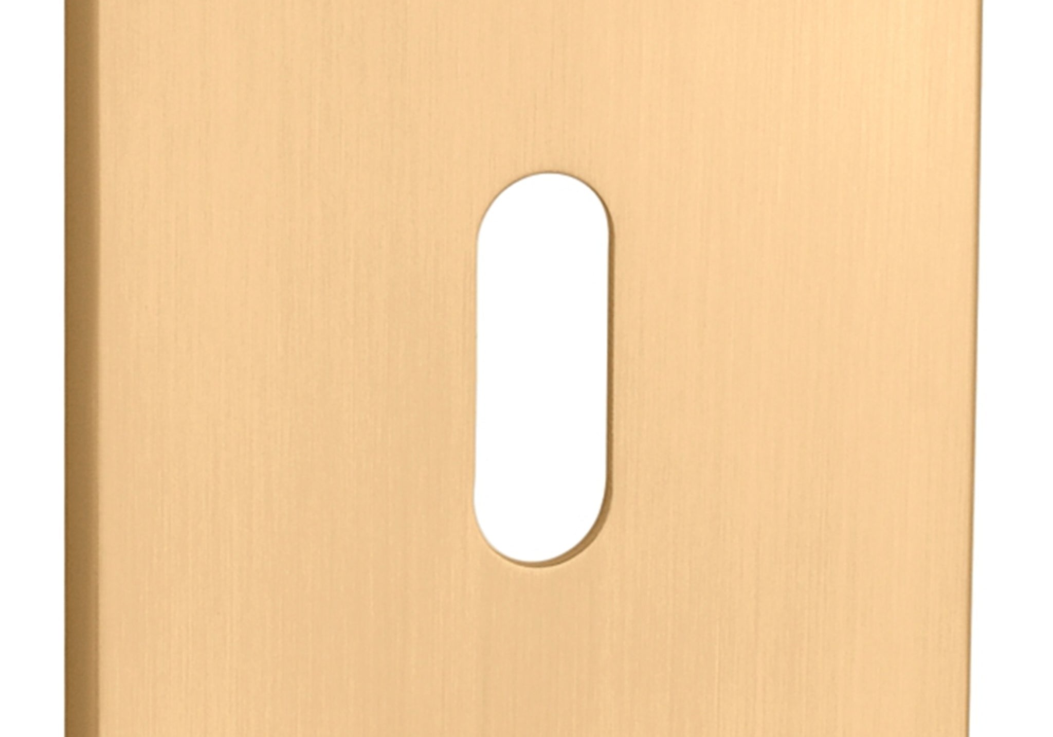 ROZETA   Q SUPER SLIM 5MM KG OD APRILE