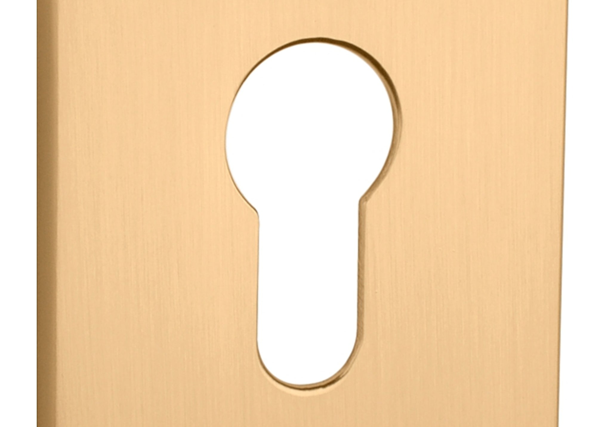 ROZETA   Q SUPER SLIM 5MM KG OD APRILE