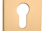 ROZETA   Q SUPER SLIM 5MM KG OD APRILE