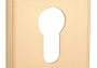 ROZETA   QG SLIM 7MM KG OD APRILE