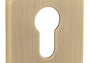 ROZETA   QS SLIM 7MM FB OD APRILE